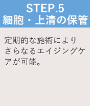 細胞・上清の保管