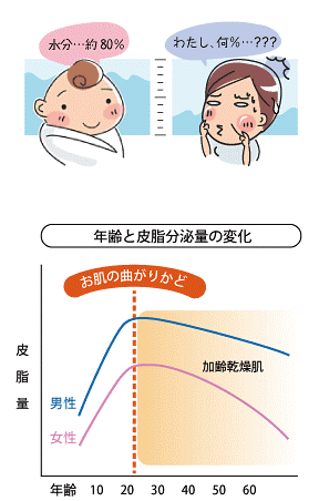 年齢と皮脂分泌量の変化