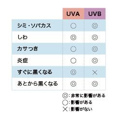 肌に対するUVAとUVBの影響